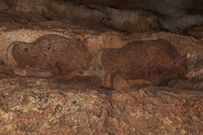 Visite guidée d'une grotte préhistorique ornée du Paléolithique Grotte de Font-de-Gaume Les Eyzies