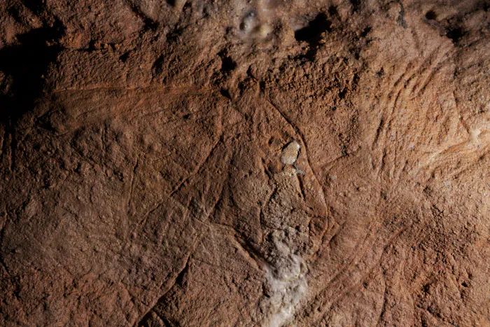 Découverte d'une grotte ornée du Paléolithique ! Grotte des Combarelles Les Eyzies