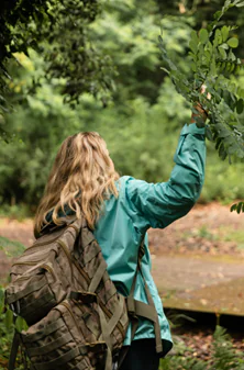 Itinéraires Les arbres / Balade naturaliste arbres comestibles