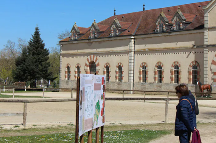 Visite du haras national de Cluny Haras national de Cluny Cluny