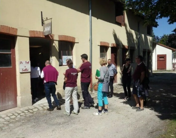 Visite d'un petit musée associatif "de sel à selle" Haras National de Rosières-aux-Salines Rosières-aux-Salines