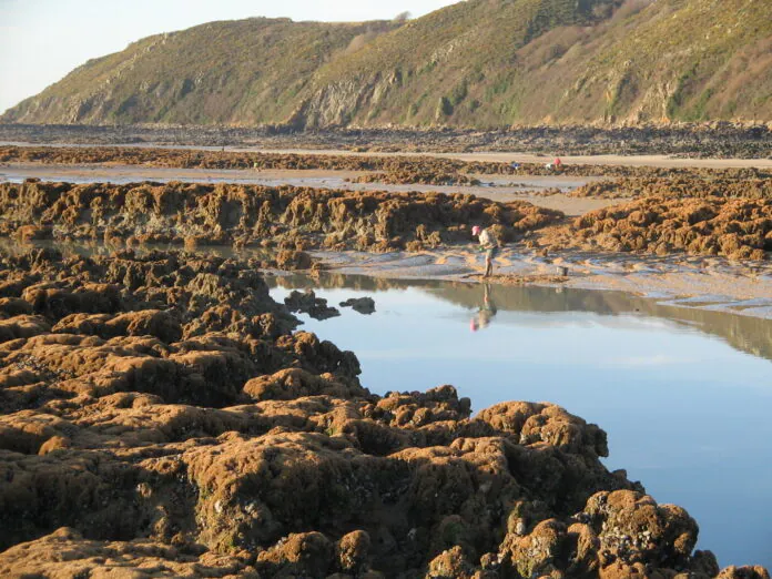 hermelles baie saint michel