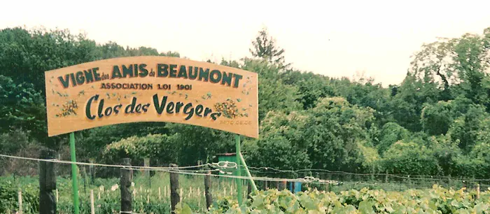 Visite de la cave de l'Hôtel du Croissant Hôtel du Croissant Beaumont-sur-Oise