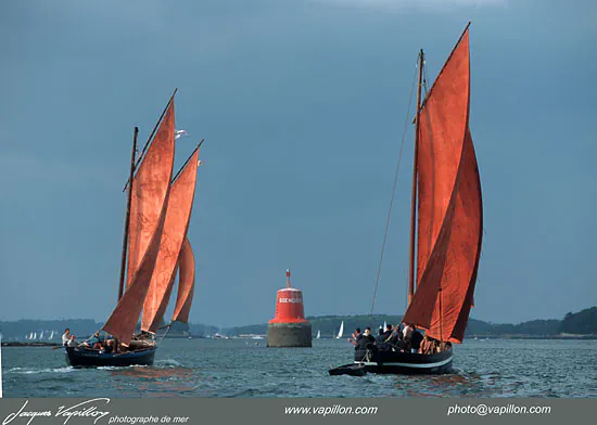 Huîtres, voiles, et compagnie