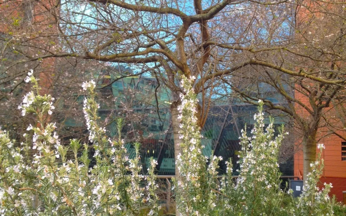 Jardin en fête ! Médiathèque Marguerite Yourcenar Paris