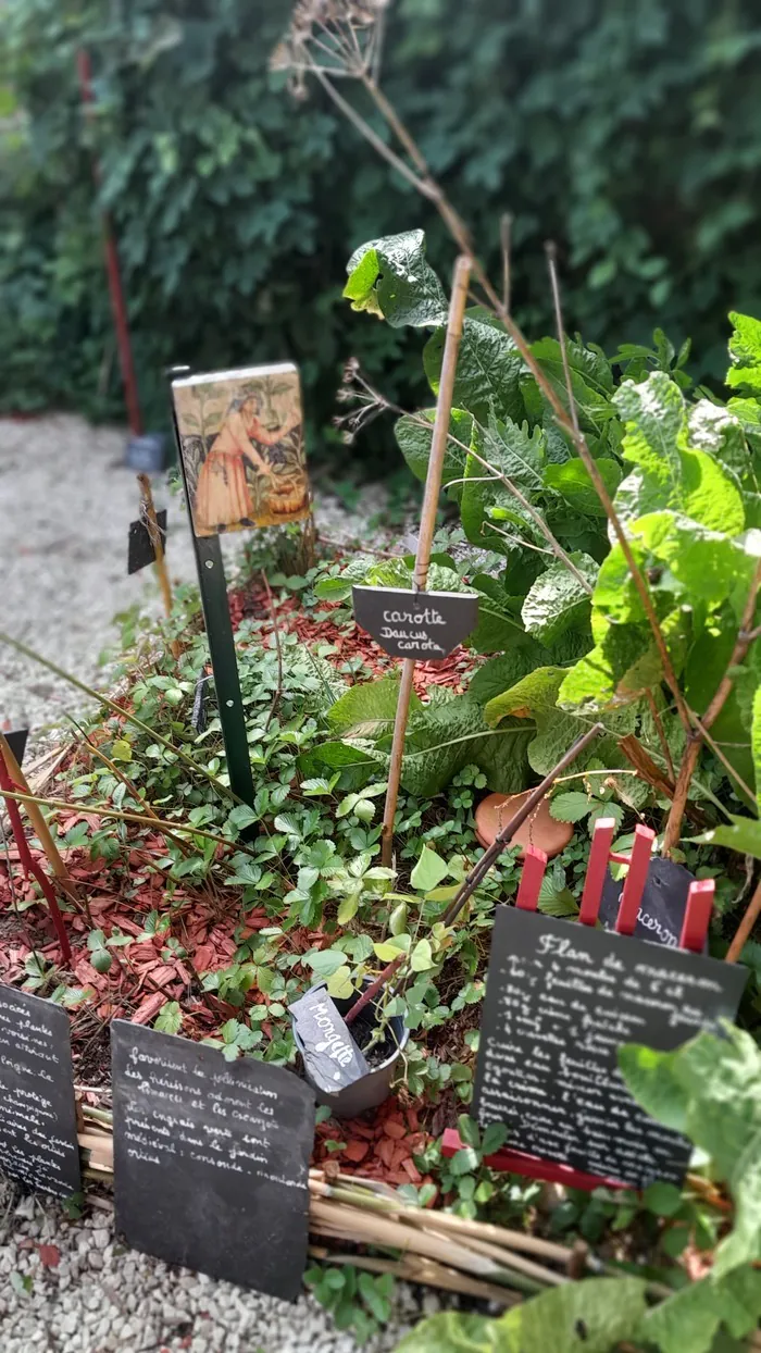 Visite du jardin médiéval ! Jardin Médiéval des Douves Jonzac