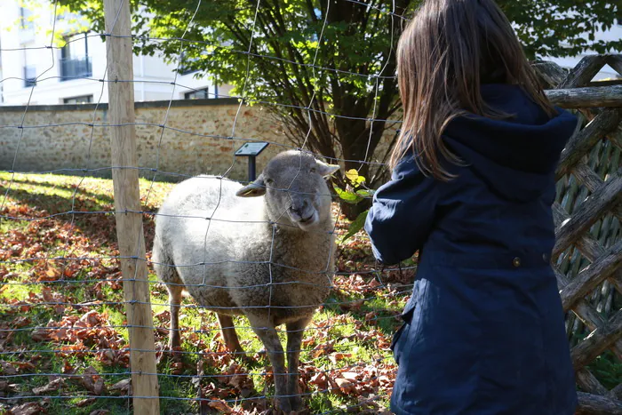 Histoire du Parc de la Maison Blanche et évolution de l’agriculture à Clamart | Par la Ferme de Clamart La ferme de Clamart Clamart