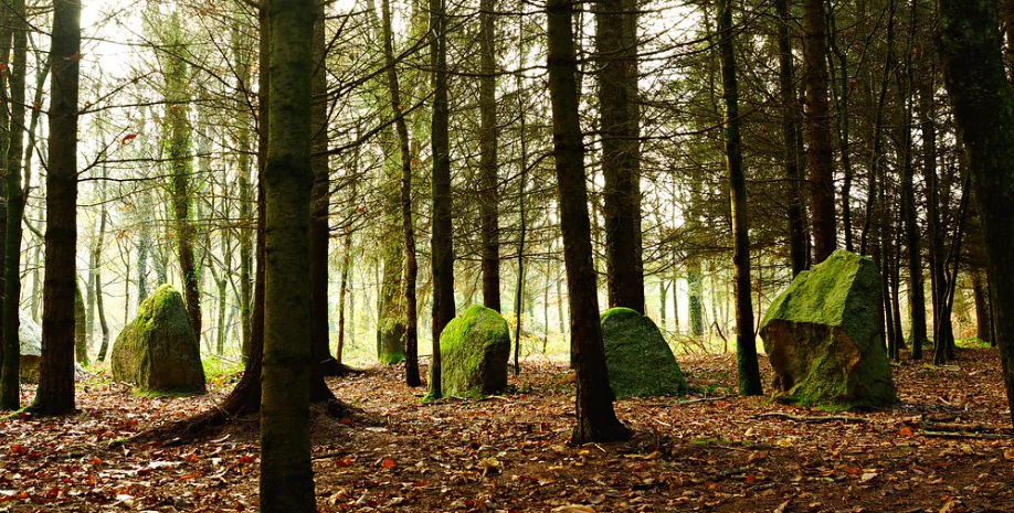 la fête des menhirs