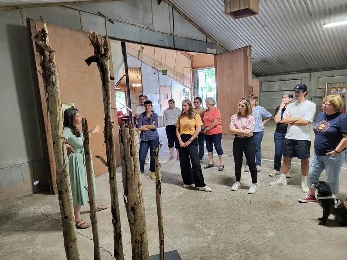 Rencontre - échange avec l'artiste Morgane Britscher La serre Morsbronn - Ferme Brandt Arbobast Durrenbach