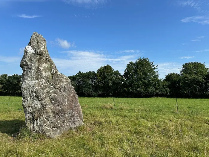 Conférence autour du Menhir du Carn - créneau 11h/12h Le Carn