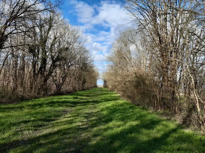 Randonnée du patrimoine autour des bois de la Bastière à Annezay ! Le château d'Annezay Annezay