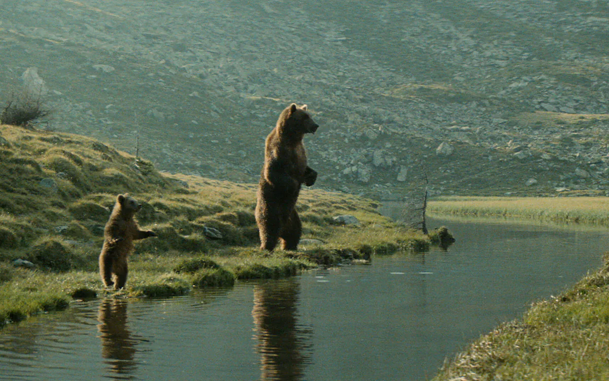 L’OURS Jean-Jacques Annaud Le Carreau du Temple Paris