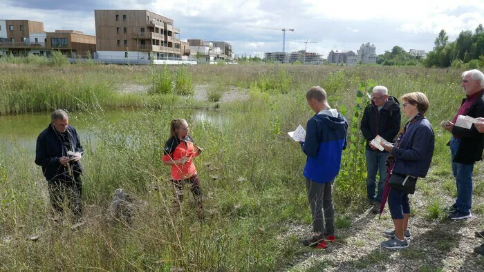 Découvrir la richesse du patrimoine végétal à Ostwald Mairie Ostwald