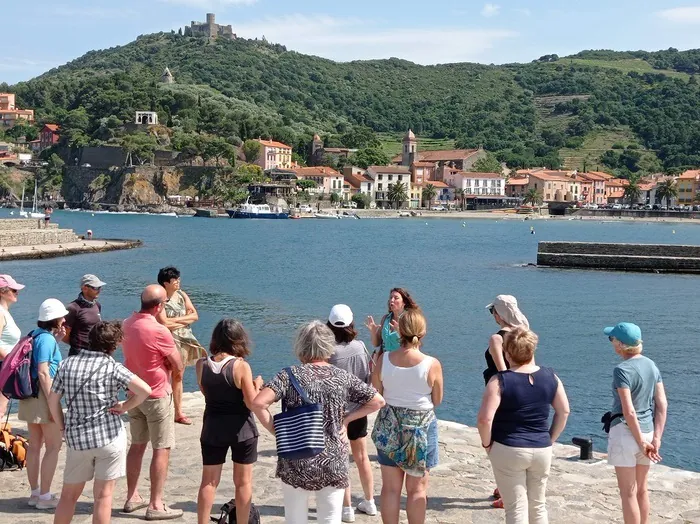 Visite guidée : « Découverte de Collioure » Maison du fauvisme Collioure