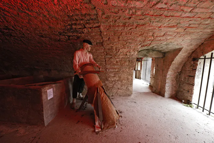 Visite commentée des tanneries de la maison natale de Louis Pasteur Maison natale de Louis Pasteur Dole