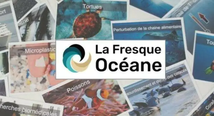 Fresque océane : comment protéger nos océans ? Médiathèque la Mémo Oullins