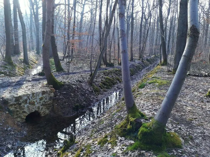 Visite du réseau hydraulique du domaine royal de Meudon en forêt de Meudon Meudon carrefour de l'Observatoire route Royale Meudon