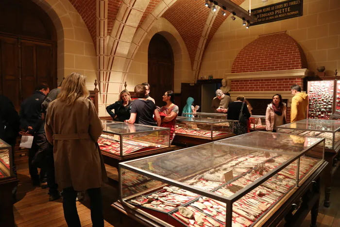 Visite libre de la collection Edouard Piette Musée d'archéologie nationale et domaine national de Saint-Germain-en-Laye Saint-Germain-en-Laye