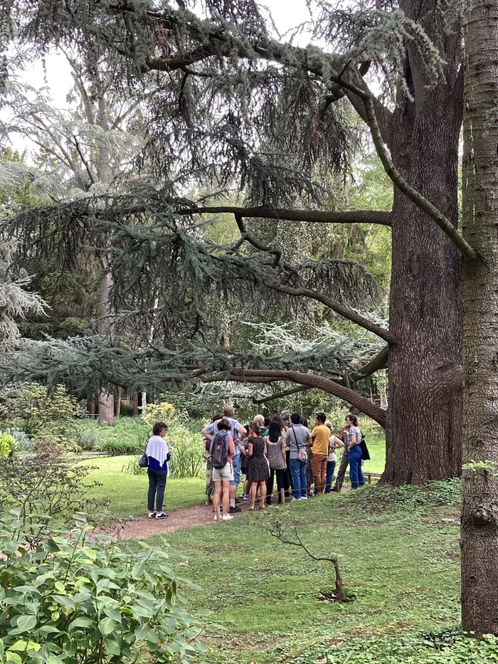 Visite guidée « Conversation au jardin » Musée départemental Albert-Kahn Boulogne-Billancourt