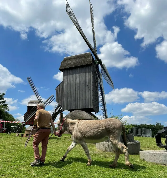 Spectacle "L'âne Cadichon" au Musée des Moulins Musée des Moulins - Jean Bruggeman Villeneuve-d'Ascq