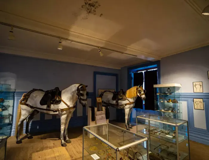 Visite d'un musée dédié aux équidés dans une tour médiévale Musée Lorrain du cheval Gondrecourt-le-Château