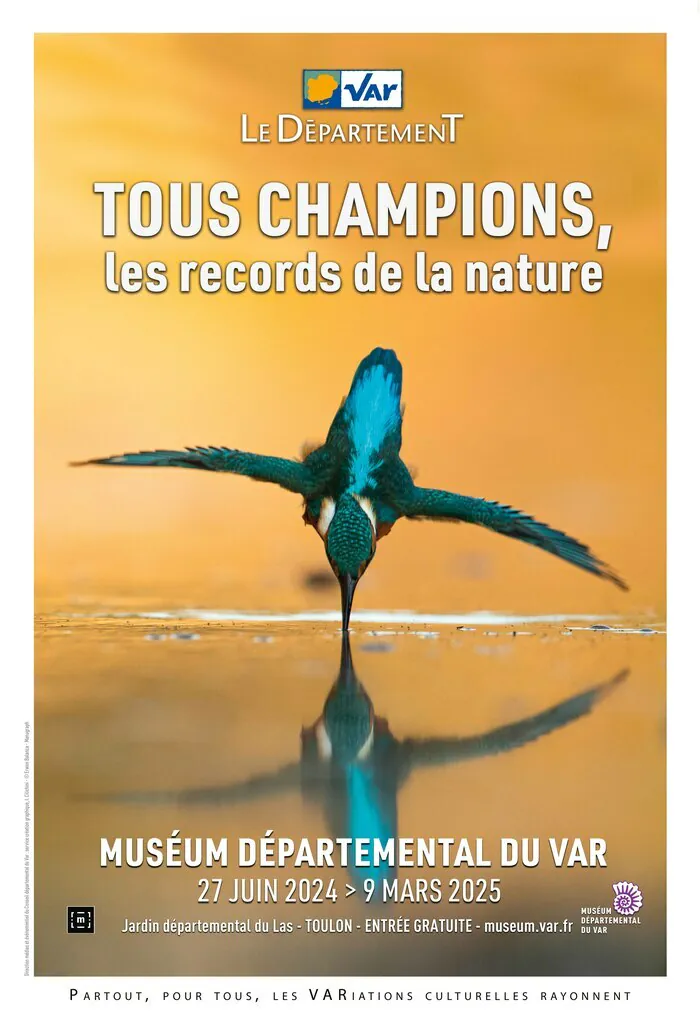 Exposition « TOUS CHAMPIONS