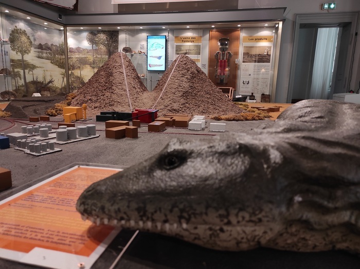 Visite guidée « Autun sous l'équateur » Muséum d'histoire naturelle Autun