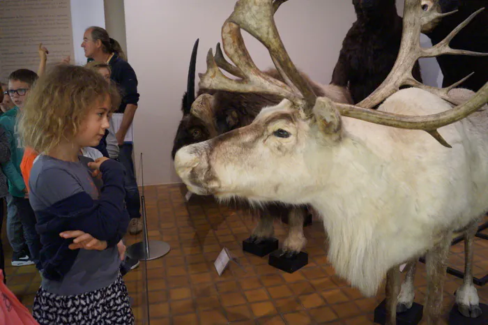 Atelier enfants « La vie au temps de la Préhistoire » Muséum d'histoire naturelle Autun