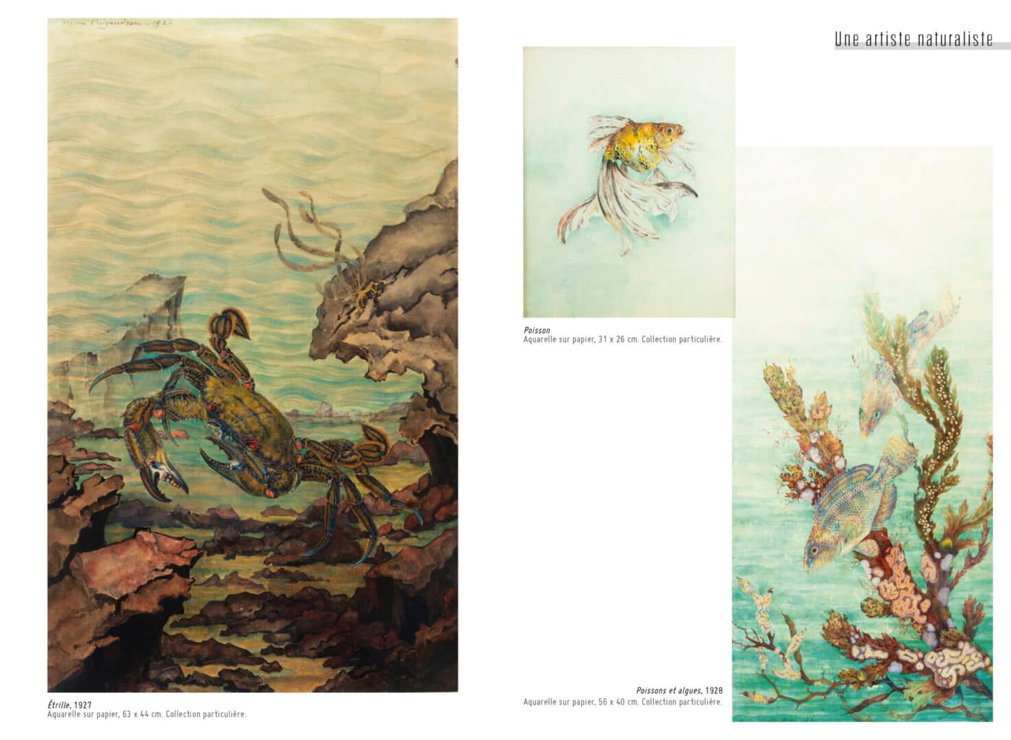 odette du puigaudeau monique vérité