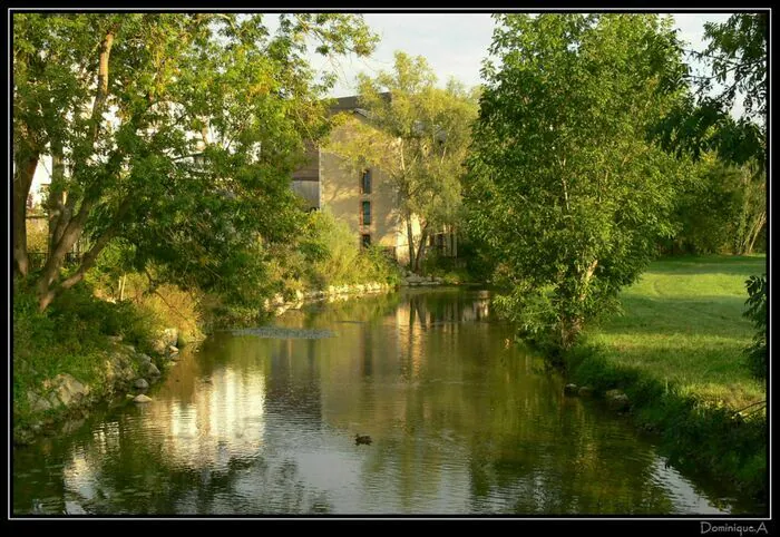 Levez les yeux Palais Archiépiscopal - Maison des musées Bourges