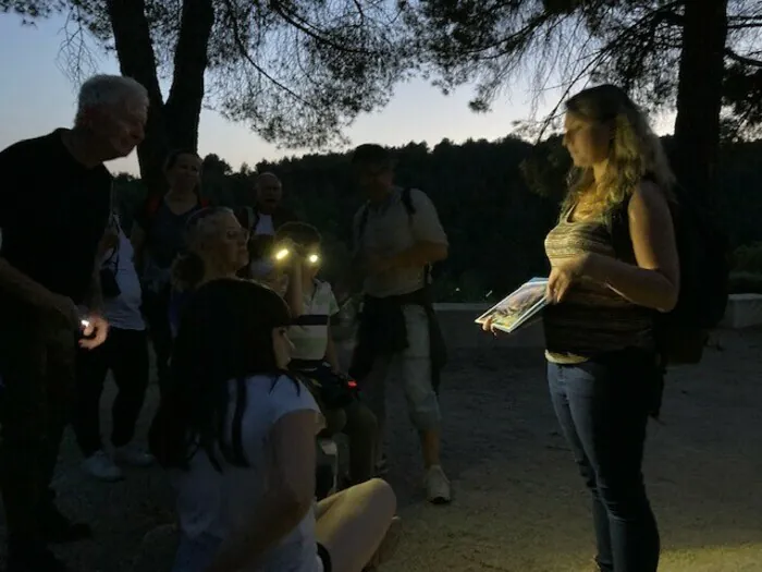 Balade crépusculaire pour observer les chauves souris à Saumane Parking du château de Saumane Saumane-de-Vaucluse