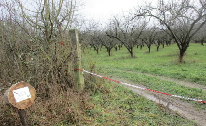 Découvrez avec un apiculteur un écosystème au service de la biodiversité Parking du Pressoir Bulligny