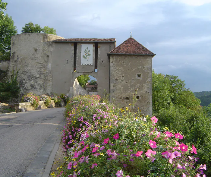 Visite guidée d'une cité médiévale Porte Haute Liverdun