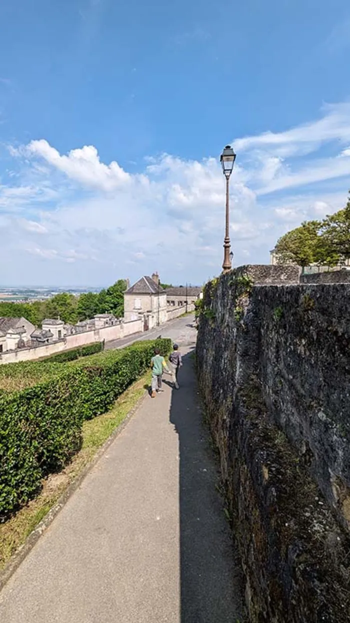 Présence des ateliers d’insertion (remparts et grimpettes) de la Ville de Laon Rempart nord de Laon (côté cimetière Saint-Just) Laon