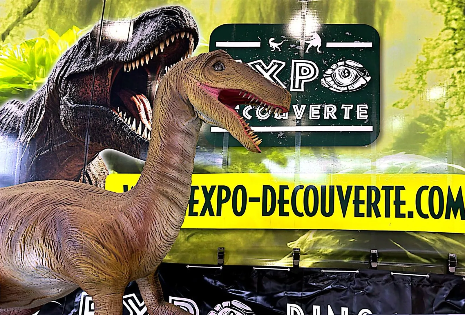 Exposition découverte sur l’histoire des dinosaures