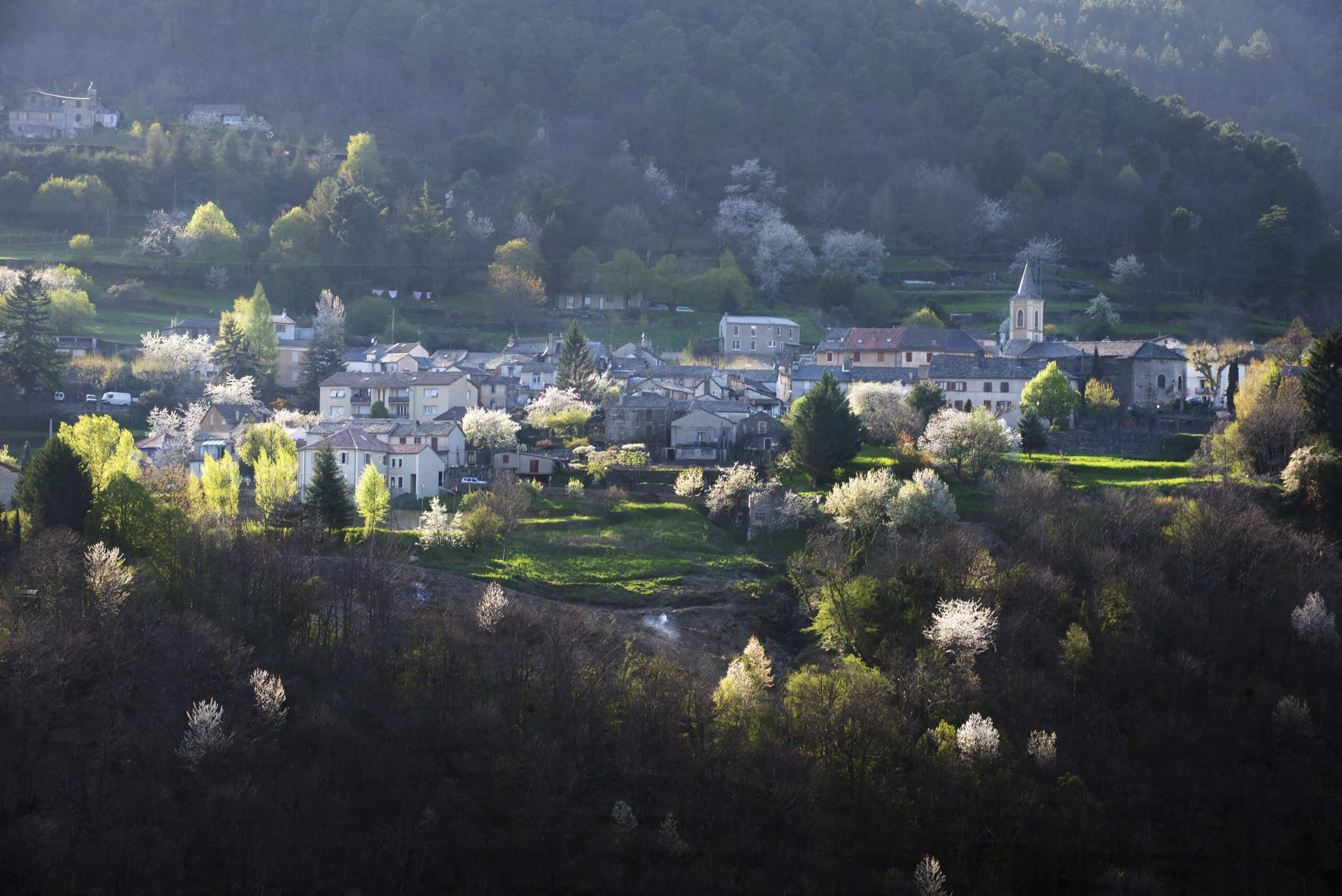 DECOUVERTE DES CEVENNES - DAVID RAYDON