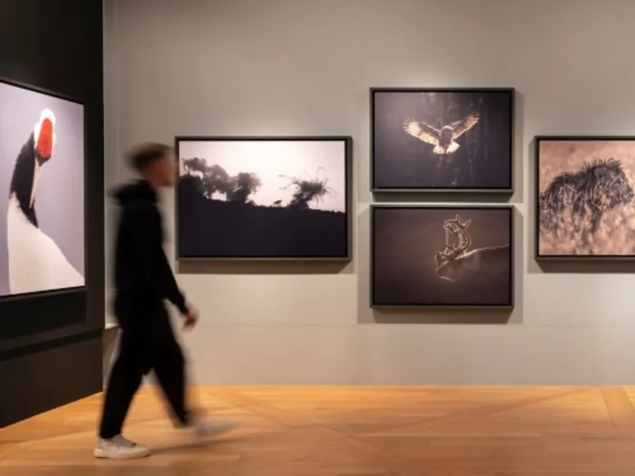 Visite de l'exposition « À l'affût » - Photographies de Vincent Munier Saline royale Arc-et-Senans