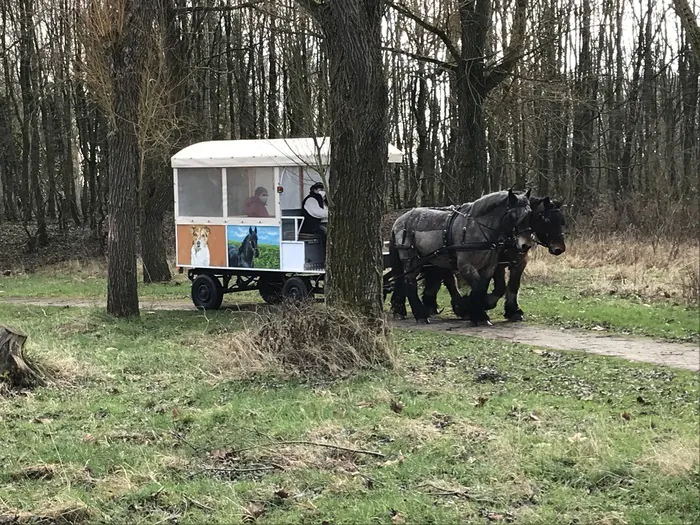 Balade commentée en calèche Thermes de Saint-Amand-les-Eaux Saint-Amand-les-Eaux