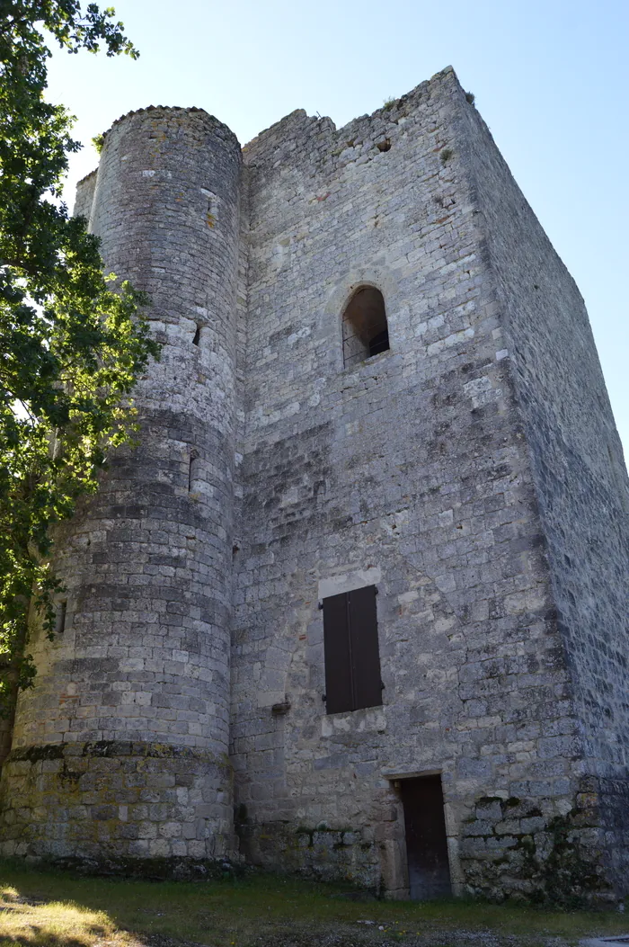 Venez visiter la tour de Dolmayrac Tour de l'ancien château Dolmayrac