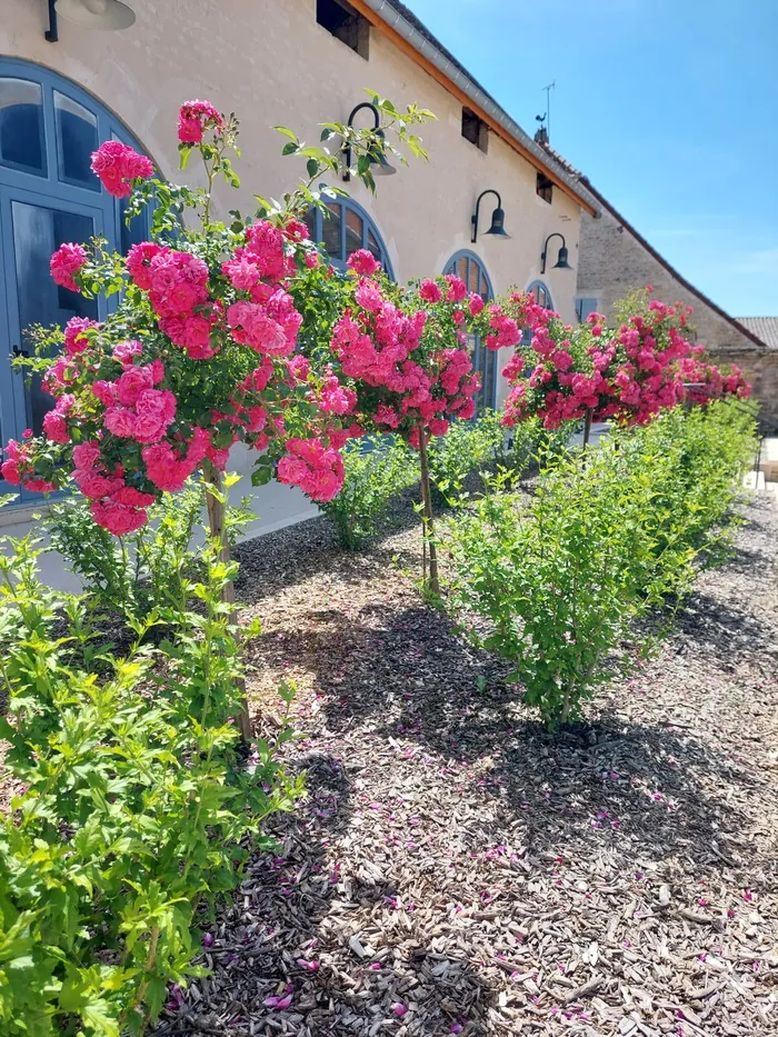 Visite commentée d'un ancien village fortifié Tour de l'Auditoire Châteauvillain