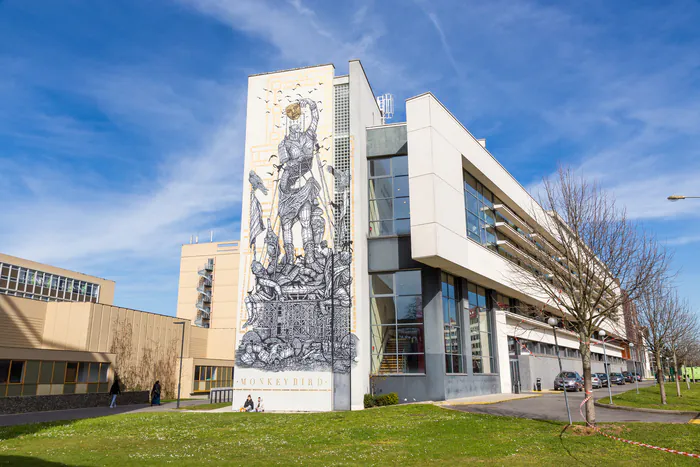 Parcours Street art : visites guidées Université Paris Nanterre Nanterre