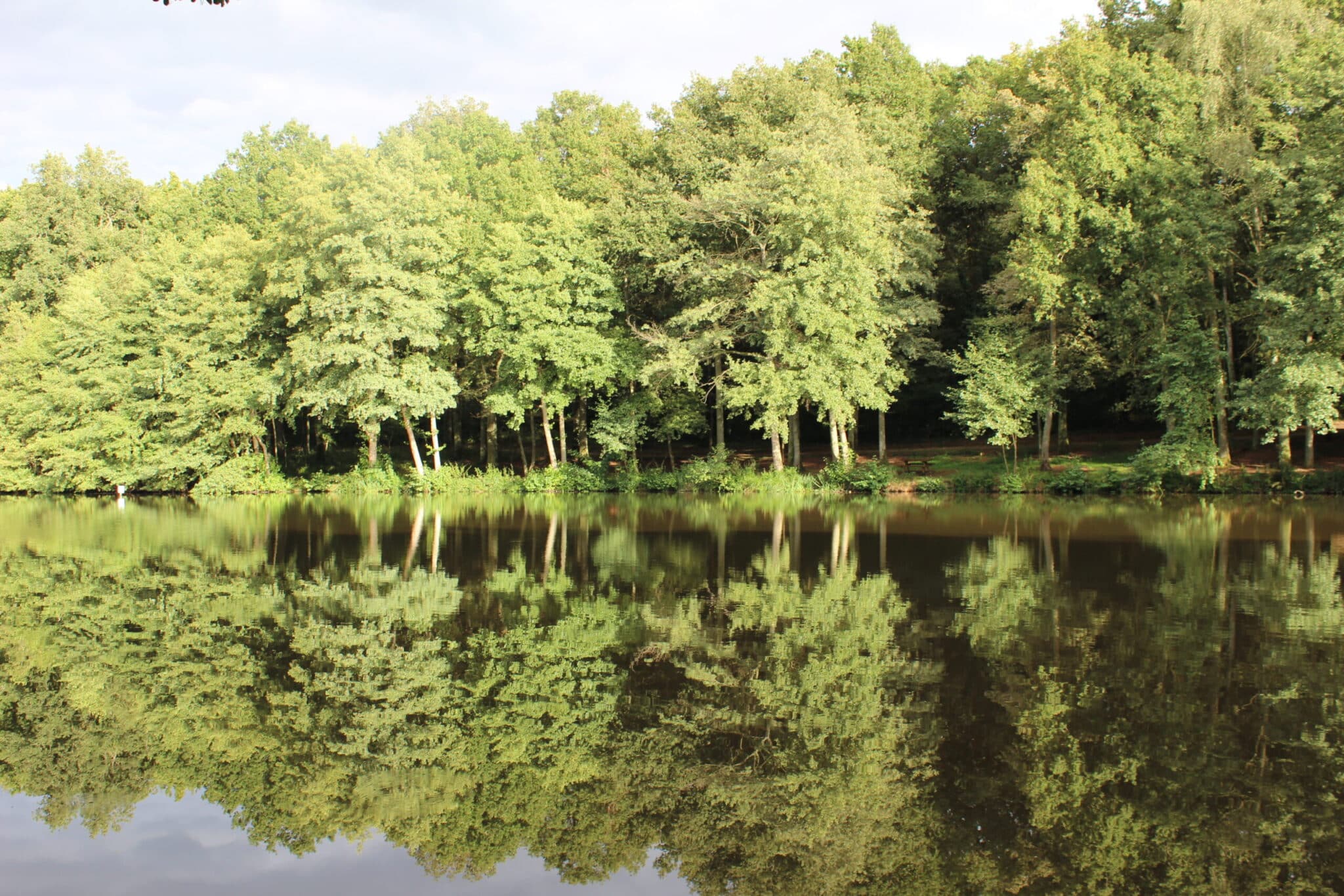 Base VTT Berry Loire Puisaye Circuit n°2 « Trousse-Bois » Briare Centre-Val de Loire Base VTT Berry Loire Puisaye Circuit n°2 "Trousse-Bois" Briare Centre-Val de Loire