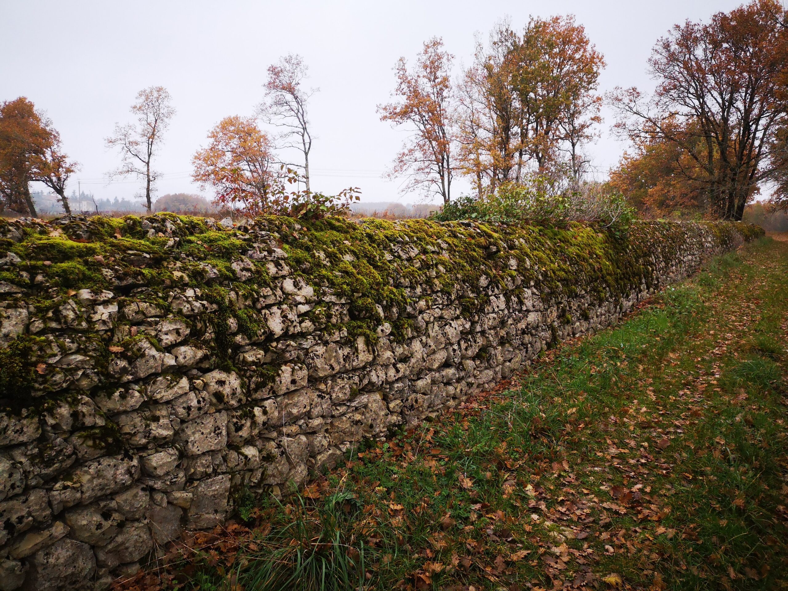 Chemin des Cayrous Lacapelle-Cabanac Occitanie