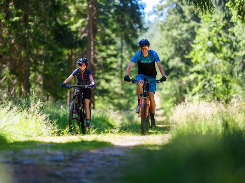 Circuit VTT B03 Autour du Rocher de Mutzig Lutzelhouse Grand Est