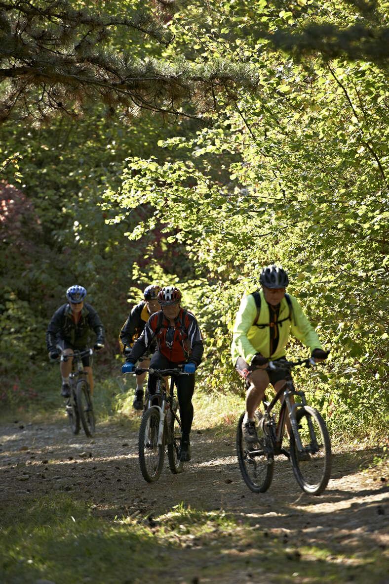 Circuit VTT CDF03 La côte 1000 vers le Mont Sainte-Odile Ottrott Grand Est