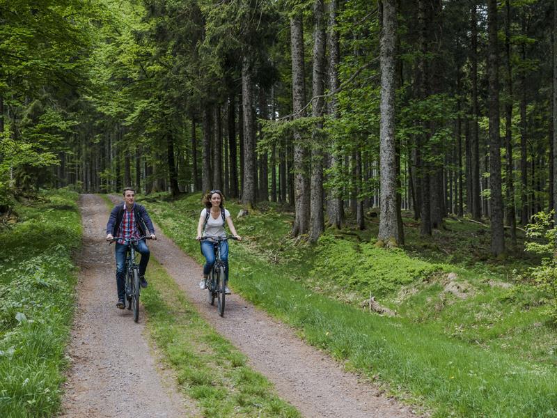 Circuit VTT CDF02 Du Sommerhof à la Serva par le Champ du Feu Rothau Grand Est