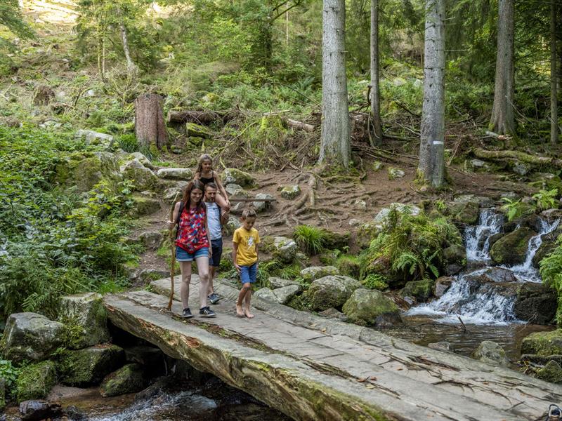 Circuit VTT C08 Du col de la Perheux à la cascade de la Serva Rothau Grand Est