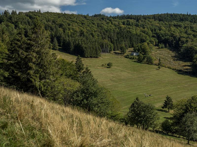 Circuit VTT H02 De la clairière du Hang à la Climontaine Saales Grand Est