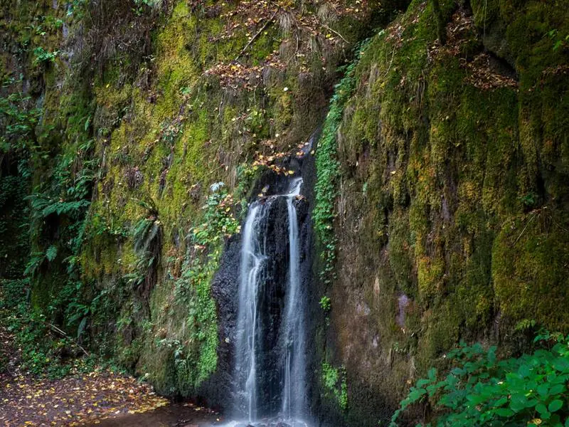 Circuit VTT B05 De Urmatt à la cascade de Soultzbach Urmatt Grand Est