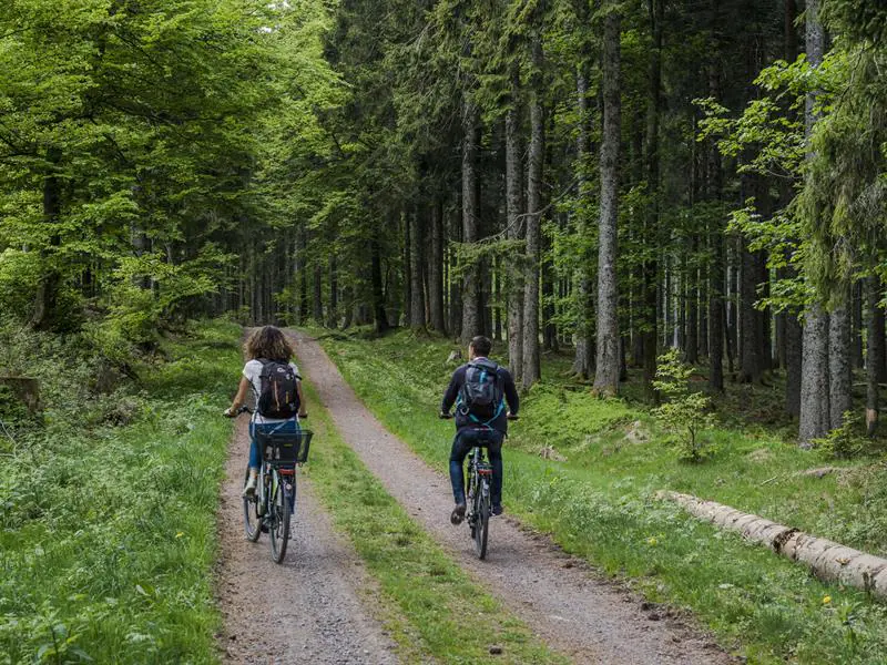 Circuit VTT C18 De Wisches à la croix du Jaques Wisches Grand Est